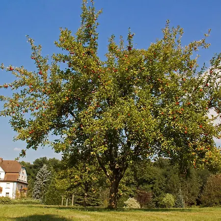 Hotel Jaegerhof