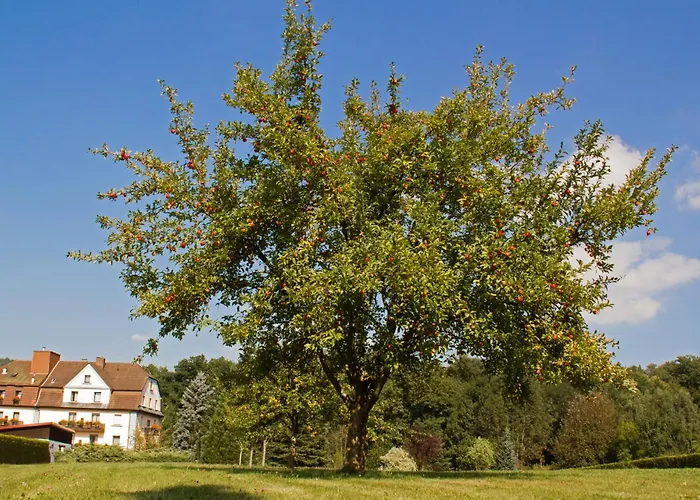 فندق Jaegerhof